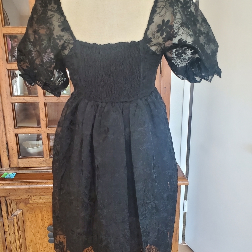 Endless Rose Elegant Black Lace Mini Dress - Picture 3 of 9